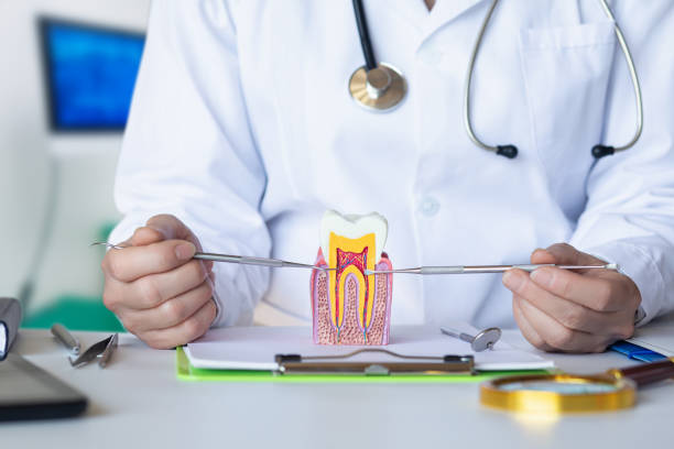 Best Emergency Denture Repair in Elmo, TX